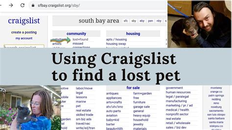 memphis classifieds pets|craigslist pet classifieds.